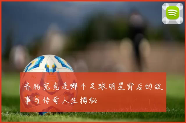齐狗究竟是哪个足球明星背后的故事与传奇人生揭秘