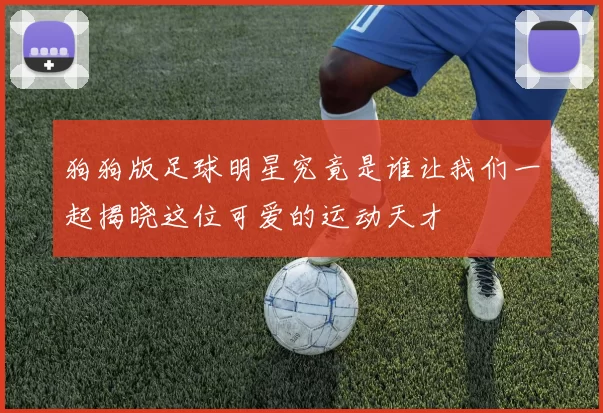 狗狗版足球明星究竟是谁让我们一起揭晓这位可爱的运动天才