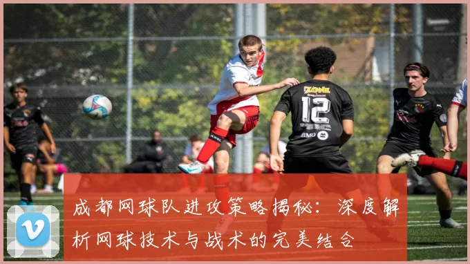 成都网球队进攻策略揭秘：深度解析网球技术与战术的完美结合