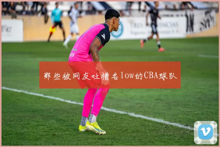 那些被网友吐槽名low的CBA球队
