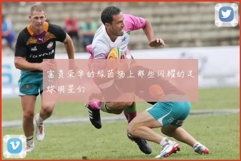 富贵荣华的绿茵场上那些闪耀的足球明星们