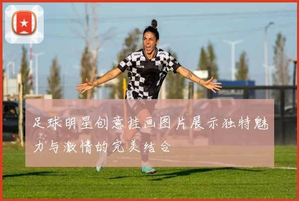 足球明星创意挂画图片展示独特魅力与激情的完美结合